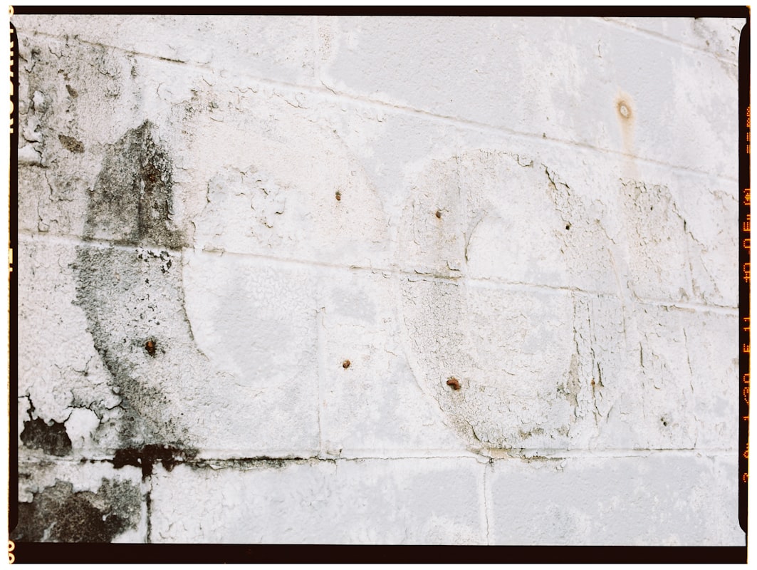 Mold Remediation service in Winchester, VA